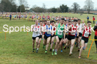 Senior mens Northern Cross Country Champs., Camp Hill Estate, Kirklington.  Photo: David T. Hewitson/Sports for All Pics